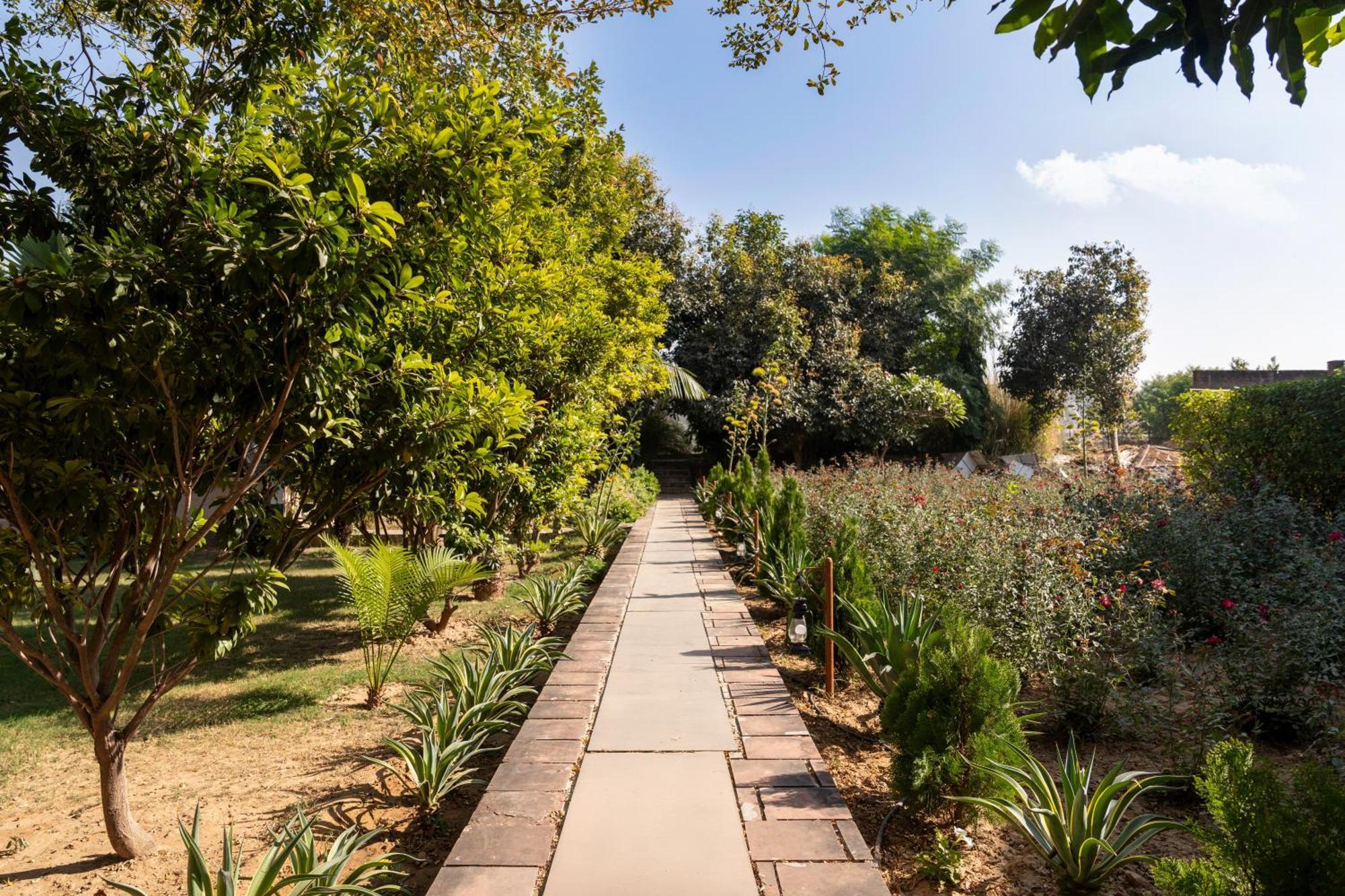 Abhyaran Resort & Spa Ranthambore Sawai Madhopur Exterior foto